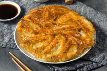 Canvas Print - Homemade Fried Lace Dumpling Potstickers