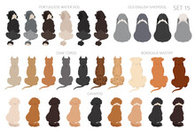 Sitting Dogs Backside Clipart, Rear View. Diifferent Coat Colors Variety. Pet Graphic Design For Dog Lovers