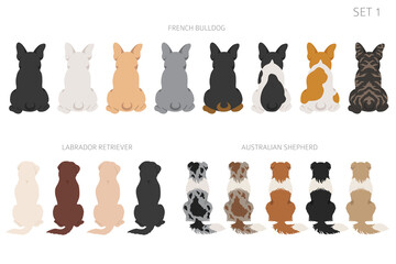 Sitting dogs backside clipart, rear view. Diifferent coat colors variety. Pet graphic design for dog lovers