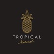 Pineapple logo icon vector. Abstract golden geometric design in trendy minimal luxury style design Illustration