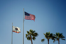 American And Californian Flag Waving Next To Three Palm Trees In Los Angeles, California