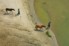 View Of Two Horseman Taking The Horses Along The River For A Bath Near Manikganj, Bangladesh.