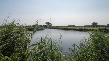 Wall Mural - The Angstel river near Abcoude on a summer day