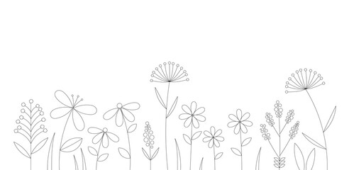 Wall Mural - flowers meadow. outline flowers drawing vector.