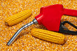 Ethanol gasoline fuel nozzle and corn kernels. Biofuel, agriculture and fuel price concept