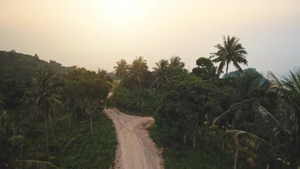 Wall Mural - Rural road in tropical forest, drone panorama. Pink light sun in sky. Green island. Vacation in Seychelles. Mahe Island Hiking Trails. Exotic summer vacation. Cinematic drone flight camera rise up