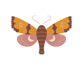 Wall Mural - Boho butterfly. Insect with celestial elements. Witch and magic symbol. Abstract hand drawn moth. Vector illustration in bohemian style.