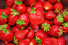 Strawberries Background. Close Up Of Freshly Picked Red Strawberries,