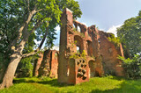 Dobra - ruiny zamku von Dewitzów, Polska