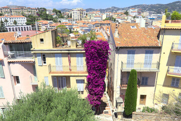 Wall Mural - View of Cannes, South of France