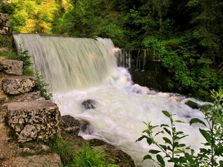 Canvas Print - Source du Doubs à Mouthe dans le Doubs.