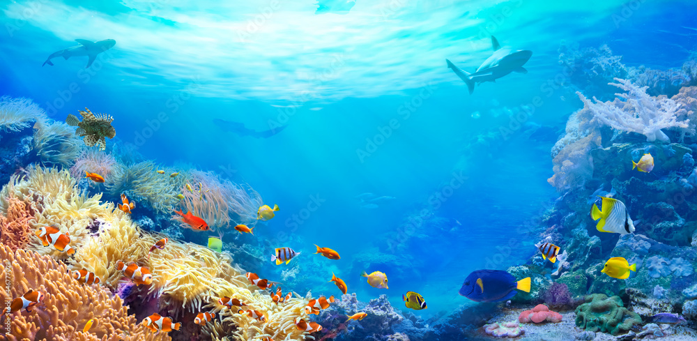 Animals of the underwater sea world. Panoramic view of the coral reef. Colorful tropical fish. Ecosystem.  - obrazy, fototapety, plakaty 