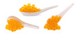 Yellow tapioca pearls for bubble tea isolated on white background. Tapioca pearls in ceramic spoon.