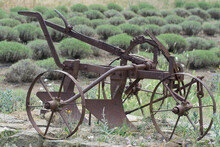 Old Agricultural Machineries. Old Rusty Plow On The Edge Of A Field.