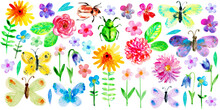 Set Of Colourful Bright Watercolor Butterflies, Bugs And Flowers
