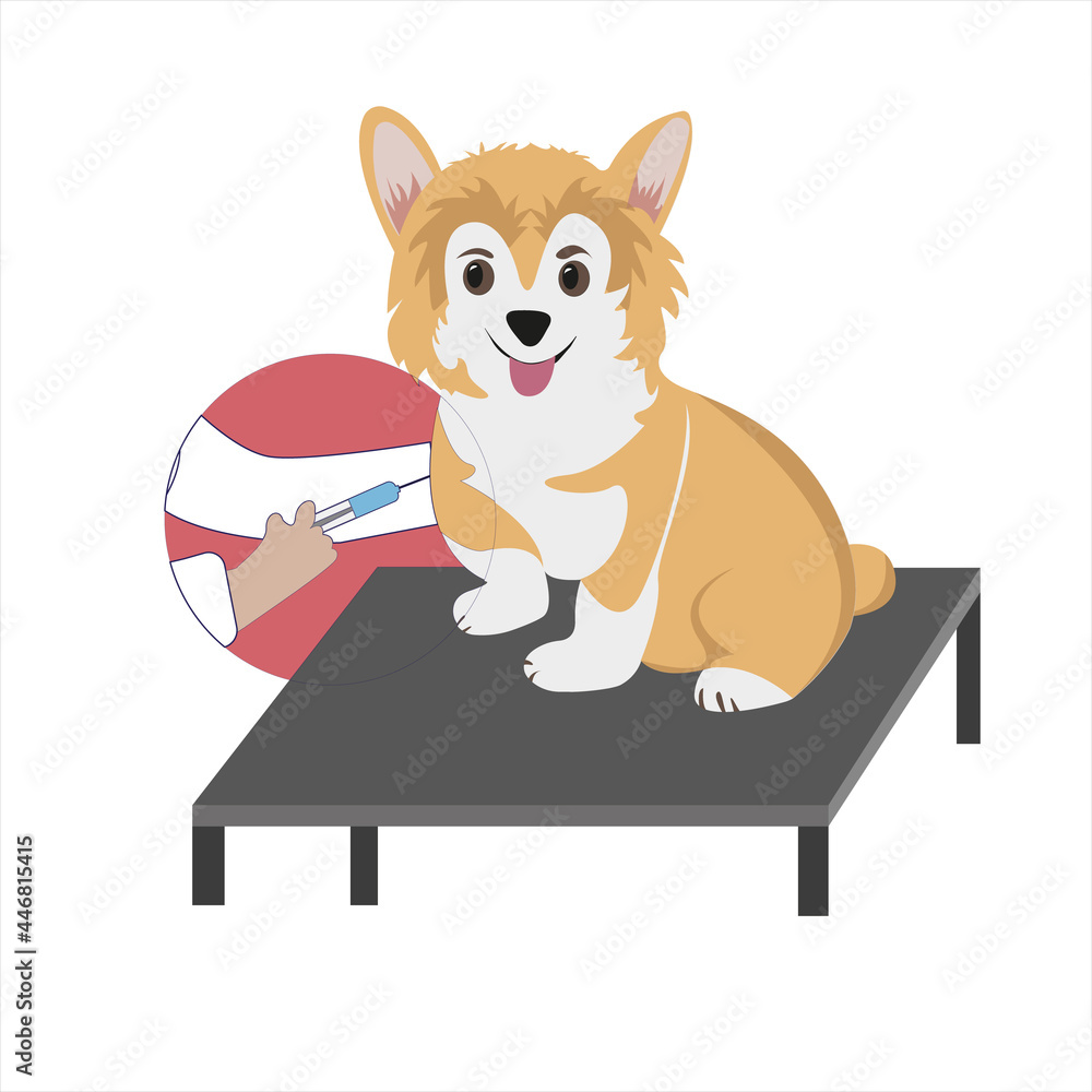 World Day Against Rabies. Rabies vaccine. Vaccination for a dog. The ...