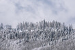 © dvulikaia - Natural winter wallpaper with snow covered trees and fog
