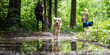Cute happy dog running through a puddle