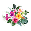 © lavendertime - Exotic tropical flowers, orchid, strelitzia, hibiscus, bougainvillea, gloriosa, palm