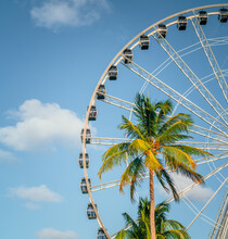 Ferris Wheel Palm Tropical Vacation Miami Florida Usa Blue Sky Clouds
