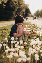 Young Boy Picking Dandelion Flowers On A Sunny Summer Day.
