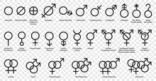 Gender Symbol Icon Vector Set Illustration
