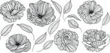 Fototapeta Młodzieżowe - Rose flowers and leaves  isolated on white. Hand drawn line vector illustration. Eps 10