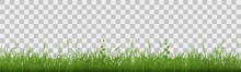 Green Grass Meadow Border. Spring Plant Field Lawn. Grass Background.