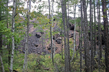 Forest and the edge of the frozen lava field. Kamchatka Peninsula, Russia.