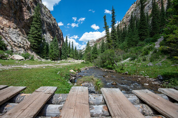 Wall Mural - wooden bridge in the mountains