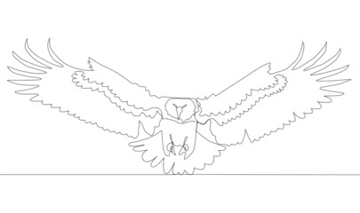 Wall Mural - Self drawing animation of continuous one single line drawing of silhouette of a bird eagle.