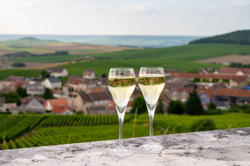 Tasting of brut and demi-sec white champagne sparkling wine from special flute glasses with Champagne vineyards on background near Cramant, France