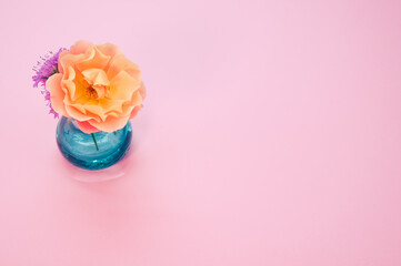 Poster - High angle shot of orange rose and chrysanthemum on a vase isolated on a pink background