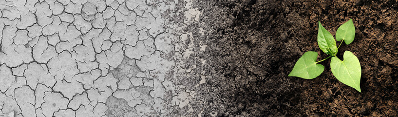 climate change cycle as a dried or dry cracked land suffering from drought turning into rich moist o