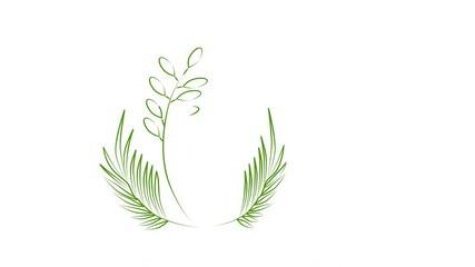 Wall Mural - Self drawing animation of growing grass, plants and flower. Line art. Luma matte, alpha channel mask. Green color line.