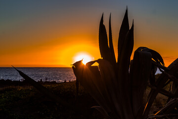 Poster - Coucher de soleil 