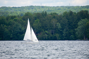 Sailing boat on a large canadian lake  