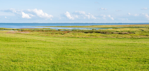 Wall Mural - Panorama of Waddensea coast with marshes on Frisian island Schiermonnikoog, Netherlands