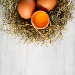 Wall Mural - Closeup raw white brown organic fresh eggs shell with yolk from happy chicken hen free range farm on nature hatch grass straw nest healthy protein food symbol of spring season birth easter festival