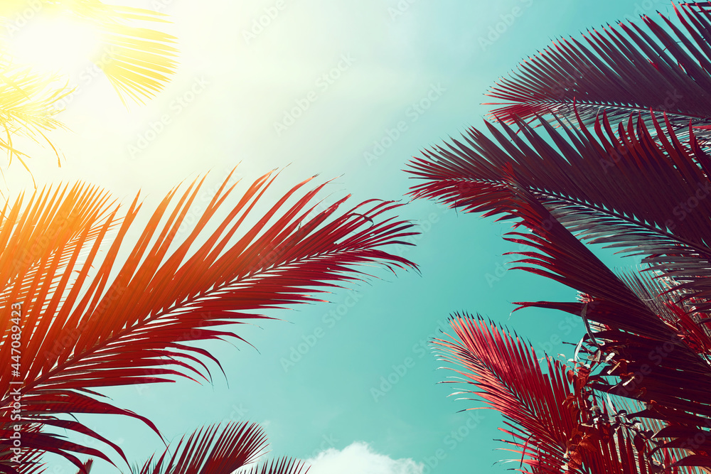 Tropical palm tree with sun light on sunset sky and cloud abstract background. - obrazy, fototapety, plakaty 