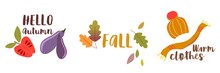 Autumn, Autumn Season, Favorite Time. Leaves Are Falling, Harvesting. Oak Leaves, Apple And Eggplant.