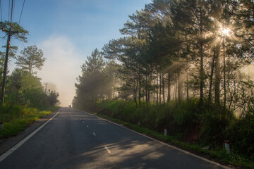 Wall Mural - beautiful of rays and light at dawn