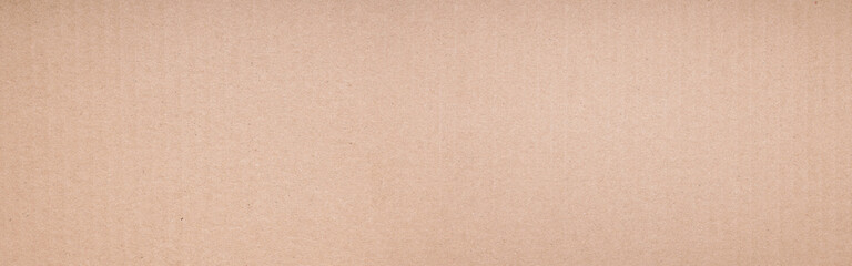 Wall Mural - web banner background made from real cardboard