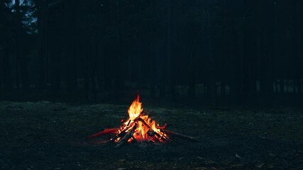 a bonfire burning in the forest in evening. flaming campfire. fireplace in nature - static shot, slo