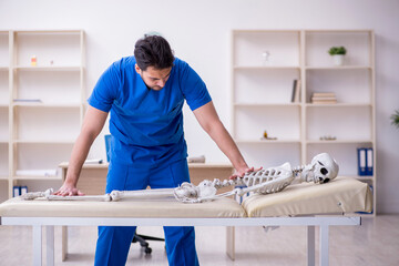 Wall Mural - Young male doctor examining skeleton patient