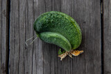 Fototapeta Lawenda - Funny cucumber grown together from two