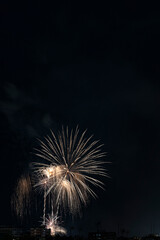 Fuegos artificiales con muchos colores sobre la ciudad y  fondo negro en formato vertical con espacio.