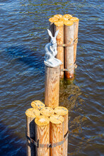 Hare Sculpture On A Log Near Hare Island, Saint Petersburg, Russia