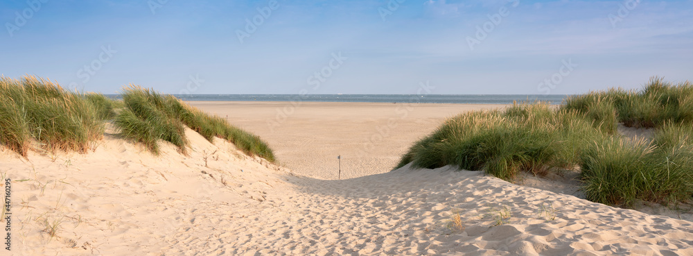 dunes and beach on dutch island of texel on sunny day with blue sky - obrazy, fototapety, plakaty 