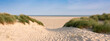 dunes and beach on dutch island of texel on sunny day with blue sky